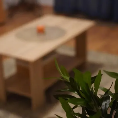 Lola Apartment Split